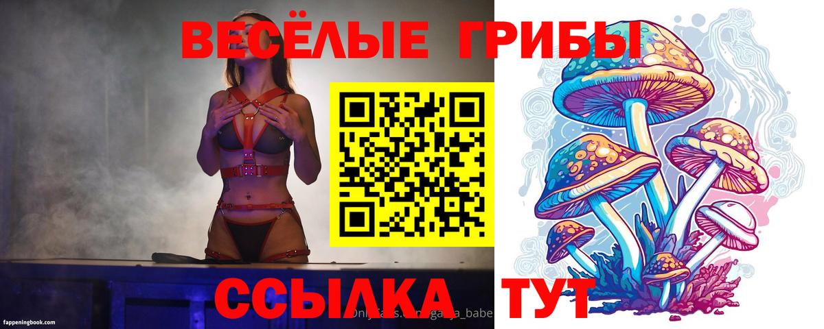 Псилоцибиновые грибы Psilocybe  Вход с VPN  Урус-Мартан 